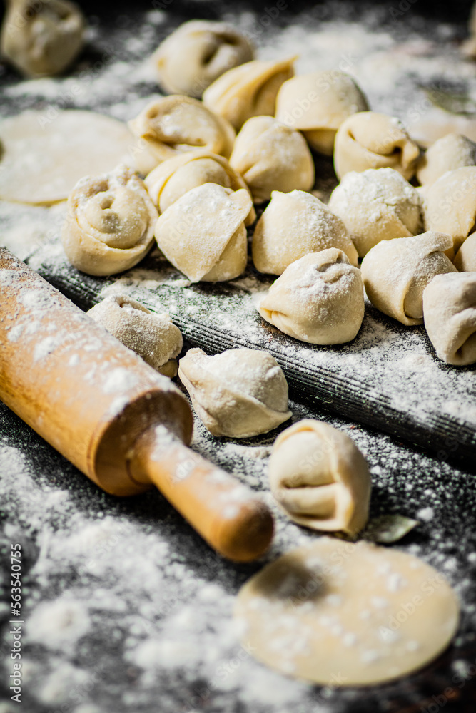Homemade dumplings on a cutting board with flour. Homemade dumplings on a cutting board with flour.