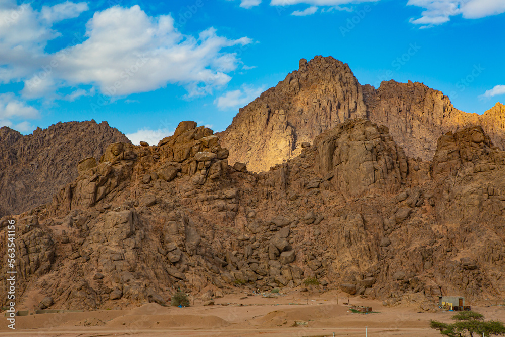 Fototapeta premium landscape in the desert