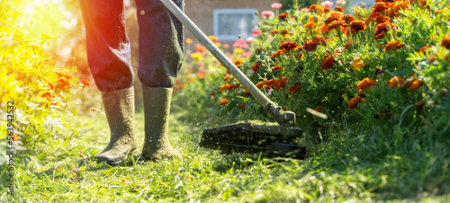 the gardener mows the grass with a trimmer