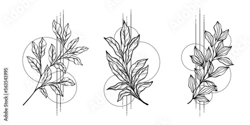 Vector illustration of black and white leaves, branch, flower, sacral geometric simbols isolated on white background. Mystical totem simbol. Hand drawn picture for tattoo, coloring book