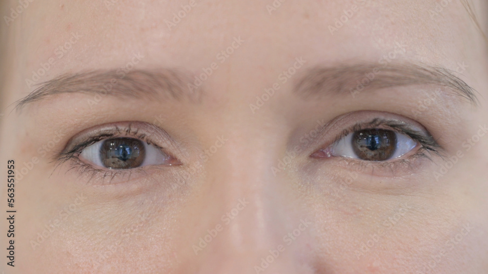 Fototapeta premium Close Up of Female Eyes Looking at Camera