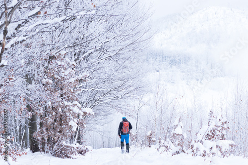 Person walking in snow. Hiking with backpack winter landscape forest
