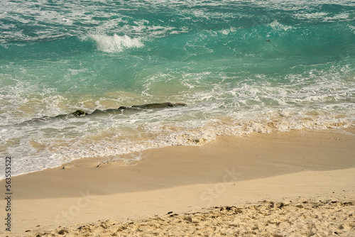 Sand und Wellen am menschenleeren, romantischen Strand in Mexiko, Traummotiv im Urlaub