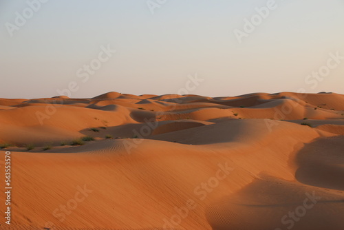 Sand dunes  Oman 
