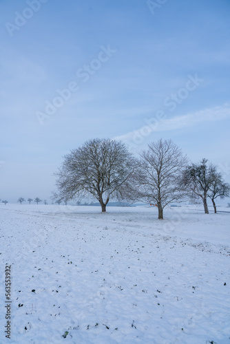 Wallpaper Mural Winterlandschaft Torontodigital.ca