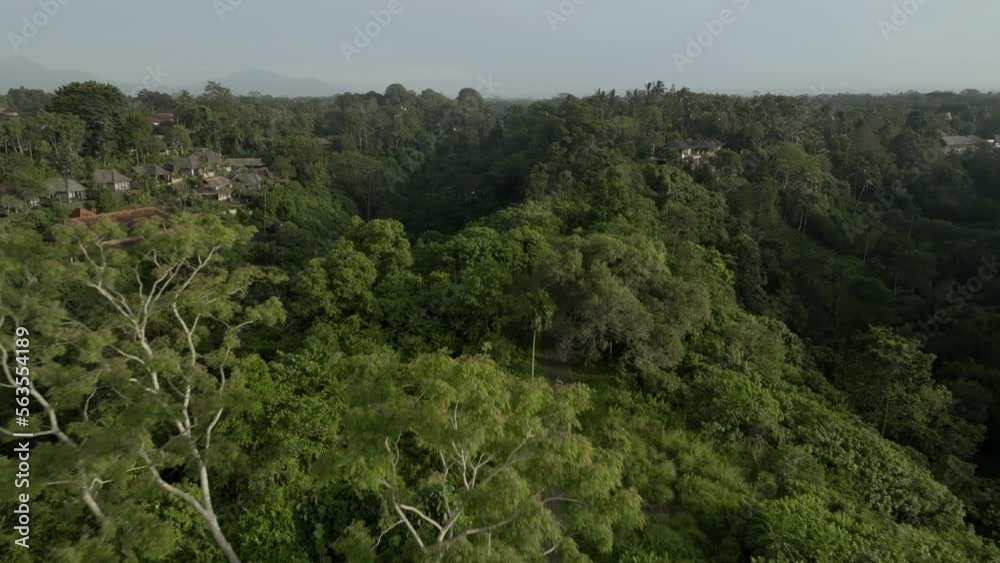 Aerial view of artist trail in Ubud, Bali. Aerial view of artist trail in Ubud, Bali.