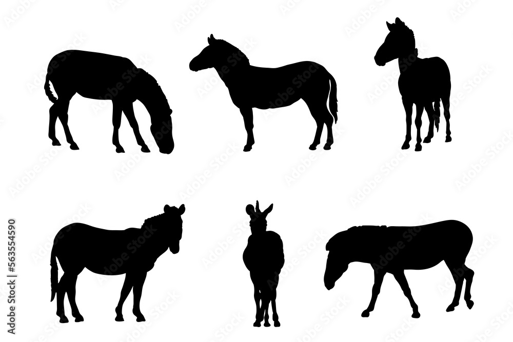 Set of silhouettes of zebra vector design