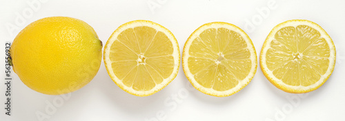 Set of lemons citrus fruit