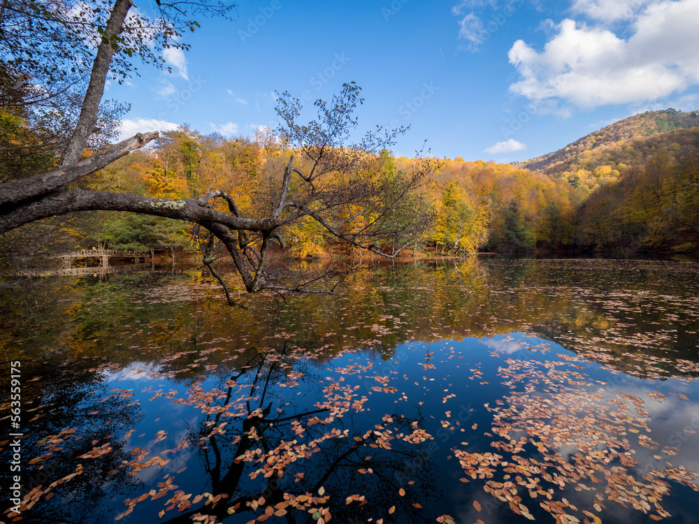 Obraz premium Bolu Yedigöller
