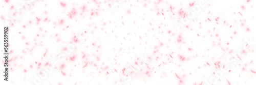 春爛漫、桜満開桜吹雪が舞うシンプルな背景イラストと白背景