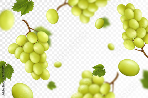 Falling juicy ripe grape with green leaves isolated on transparent background. Flying bunches of grapes with blurry effect. Can be used for wallpaper, banner, poster, print. Realistic 3d vector design
