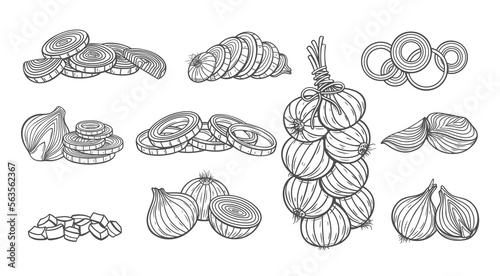 Onion line icons set vector illustration. Hand drawn outline whole onion bulb with leaf and peel, cut into half and slices, rings and pieces, raw food ingredient chopped for cooking salad or soup