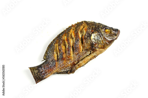 Grilled tilapia fish, isolate on white background.