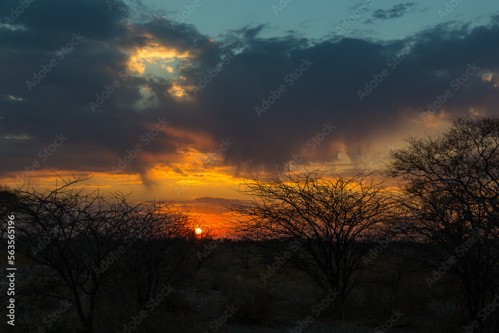 Sunrise over the Etosha National Park in Namibia.