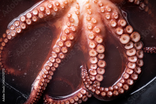 The tentacles of the octopus are boiled in water.
