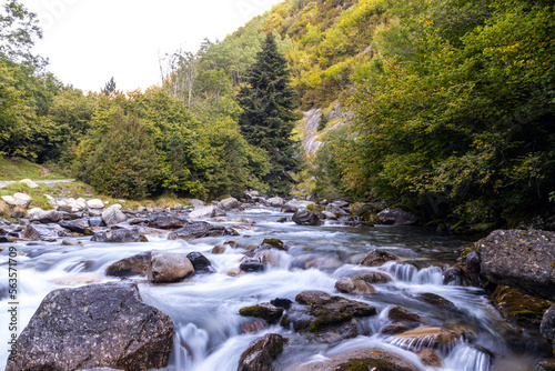high mountain river with close-up of rocks and flowing water with green trees all around during an autumn day