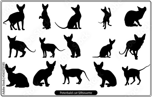 Peterbald cat SIlhouette