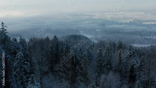 misty morning in the mountains