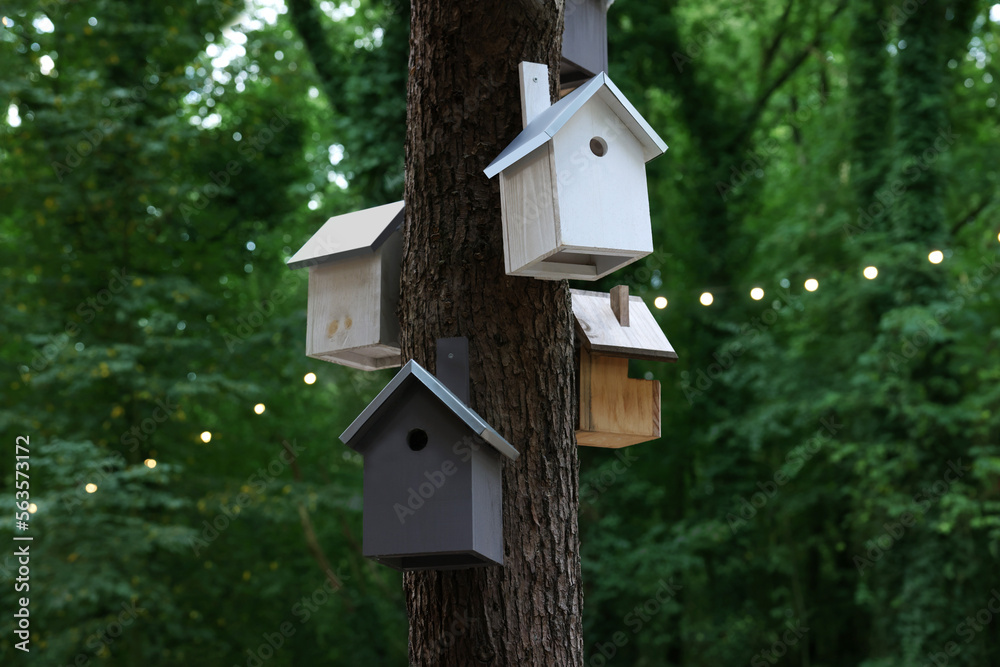 Beautiful wooden birdhouses hanging on tree trunk in forest Beautiful wooden birdhouses hanging on tree trunk in forest