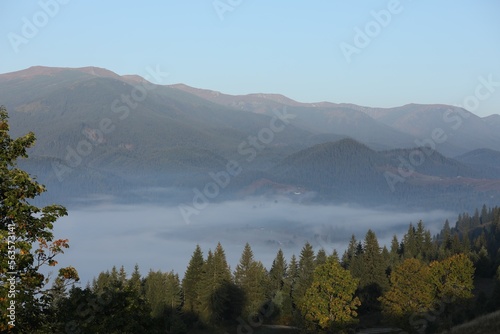 Beautiful view of foggy mountains covered with forest