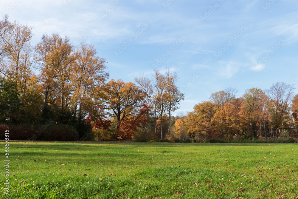 Picturesque view of park with beautiful trees and green grass on sunny day. Autumn season Picturesque view of park with beautiful trees and green grass on sunny day. Autumn season