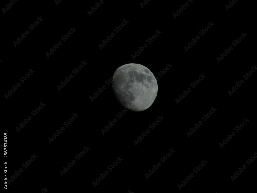 moon in the night moon in the night
