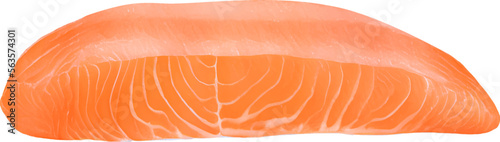 Raw Sliced Salmon Fillet Detailed Hand Drawn Illustration Vector Isolated