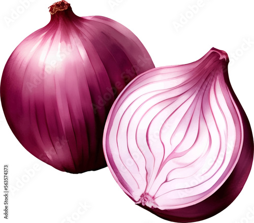 Red Onion Detailed Hand Drawn Illustration Vector Isolated