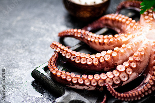 Tentacles of a fresh octopus on a cutting board. 