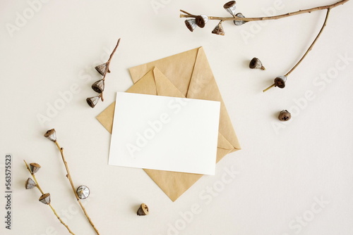 Greeting card mockup, envelope and  dried flowers twigs on beige background t...