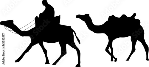 The illustrations and clipart. silhouette of a camel