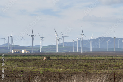 wind farm in the field
