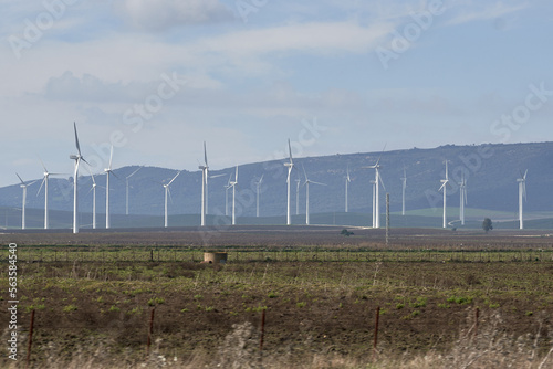 wind turbines farm