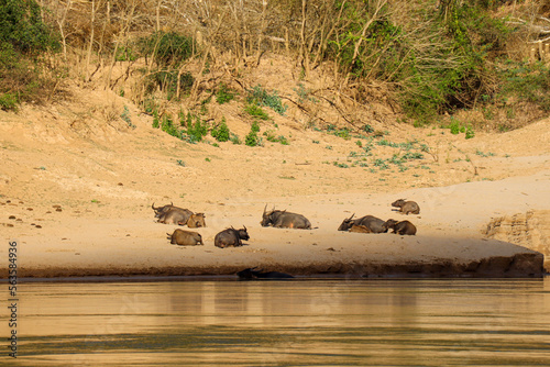 Impressions of Laos in south east Asia photo