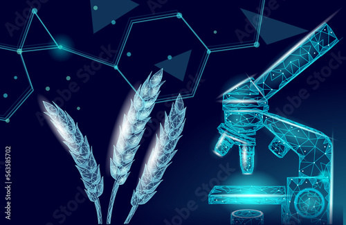 3D wheat ears grain. World food Day hunger awareness. Help charity food help global international refugees vector illustration