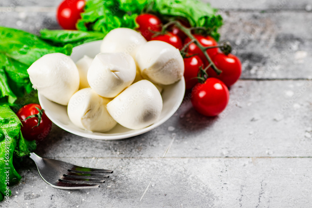 Mozzarella cheese with cherry tomatoes and herbs. Mozzarella cheese with cherry tomatoes and herbs.