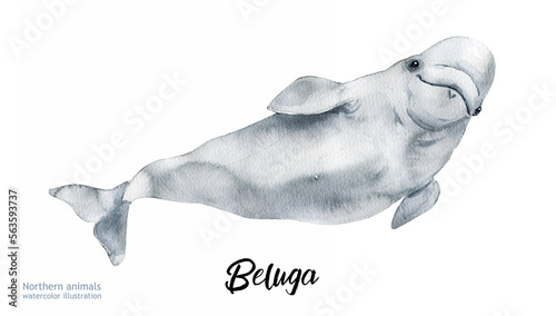 Canvas Print Watercolor cute beluga