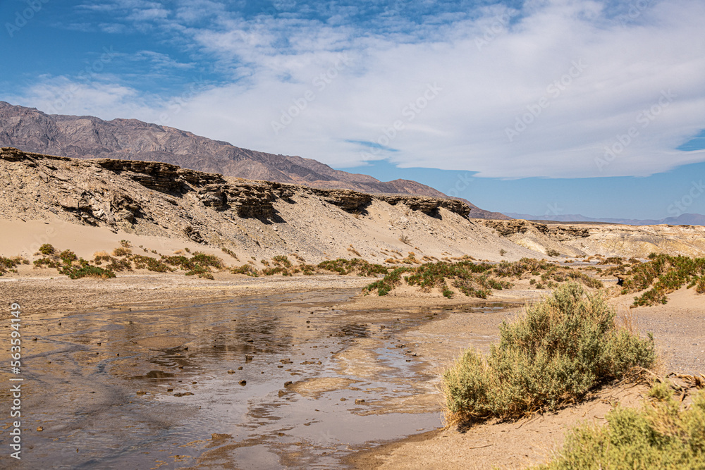 Salt Creek, Death Valley NP