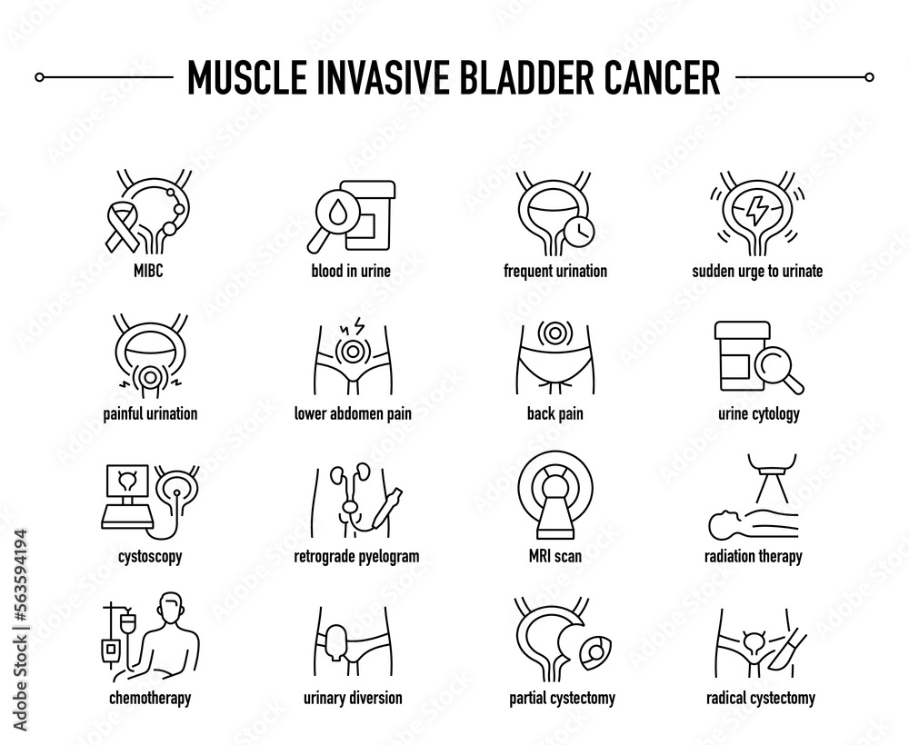 Muscle Invasive Bladder Cancer symptoms, diagnostic and treatment vector icon set. Line editable medical icons.