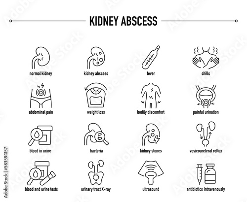 Kidney Abscess symptoms, diagnostic and treatment vector icon set. Line editable medical icons.	
