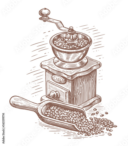 Coffee mill and scoop with coffee beans, sketch. Design for restaurant or cafe menu. Hand drawn vector illustration