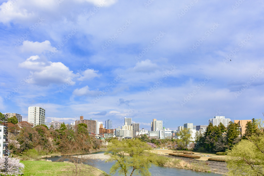 春 仙台市内
春 仙台市内