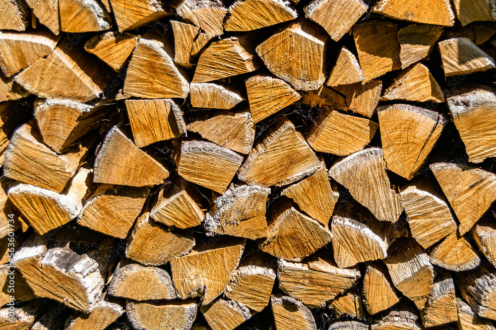 Photography on theme big wall of stacked oak tree logs in cracks Photography on theme big wall of stacked oak tree logs in cracks