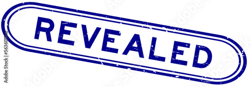 Grunge blue revealed word rubber seal stamp on white background