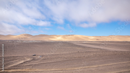 Dunes in Skeleton Coast Park  Namibia.