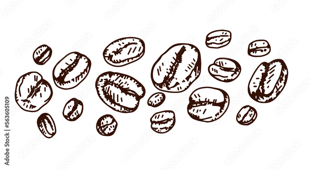 Banner coffee beans drawn. White background. Illustration
