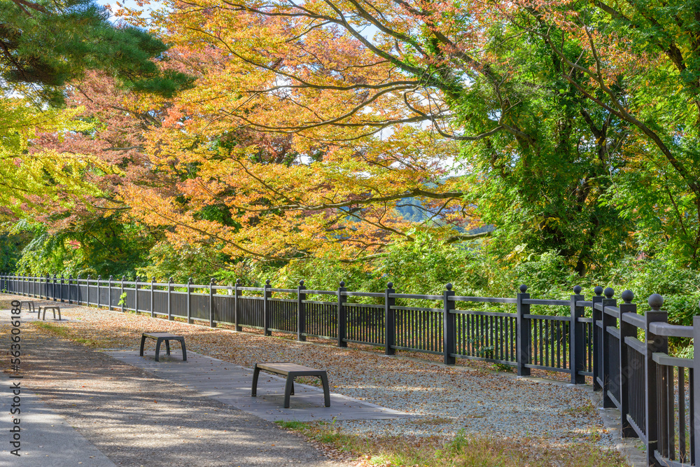 Naklejka premium 秋の仙台 西公園 
