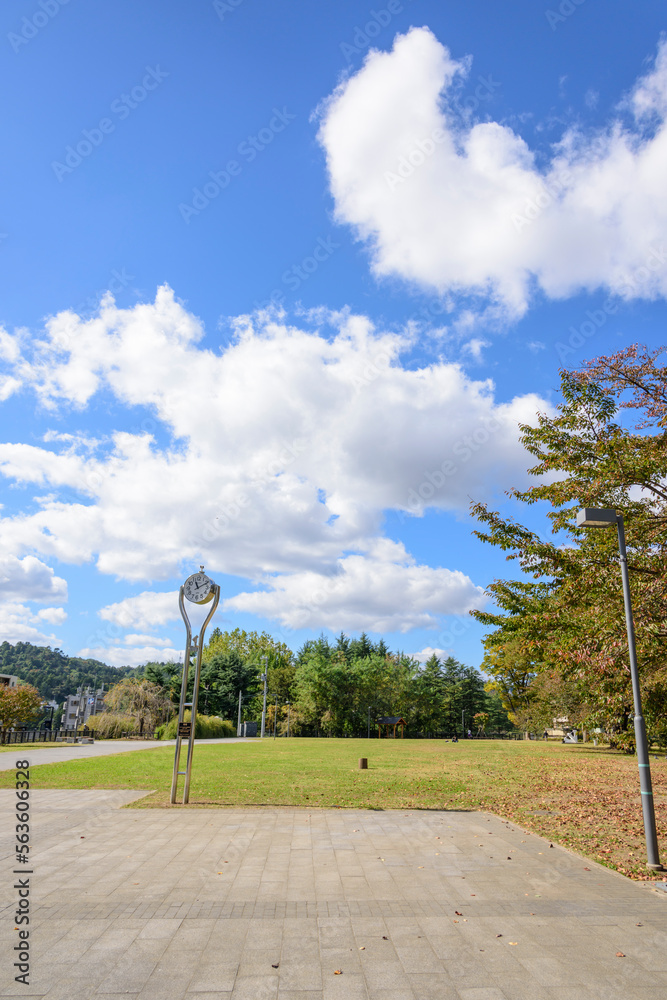 秋の仙台 西公園
