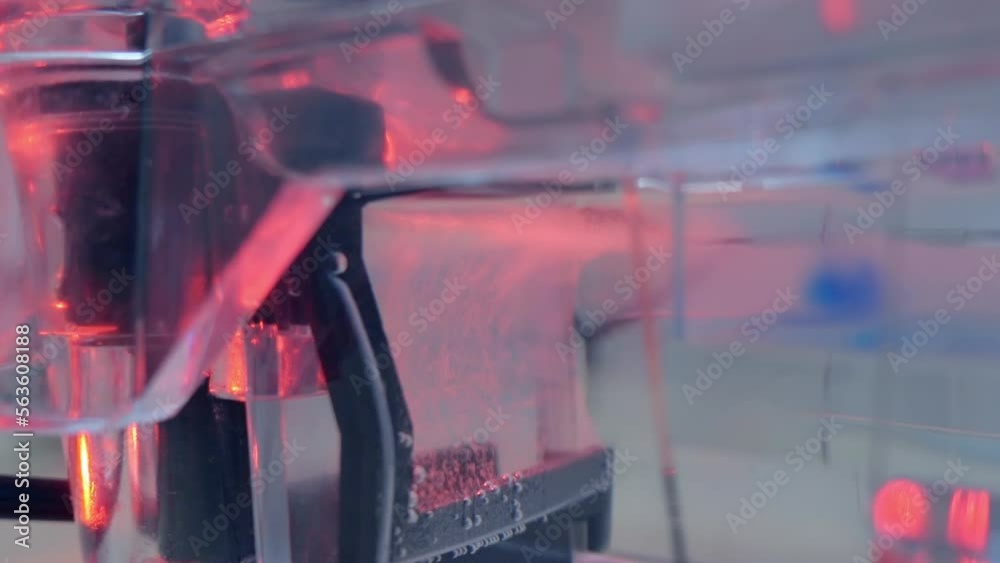 Gas bubbles from the anode-cathode in the buffer during electrophoresis ...