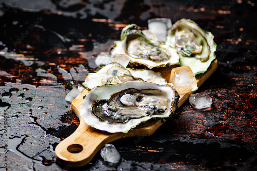 Oysters on a wooden cutting board. Oysters on a wooden cutting board.